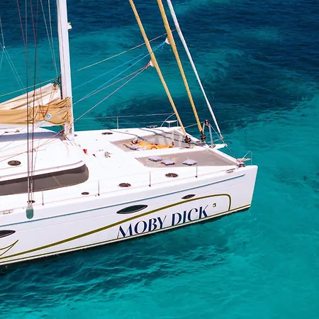 بوتيل Catamaran Mobydick